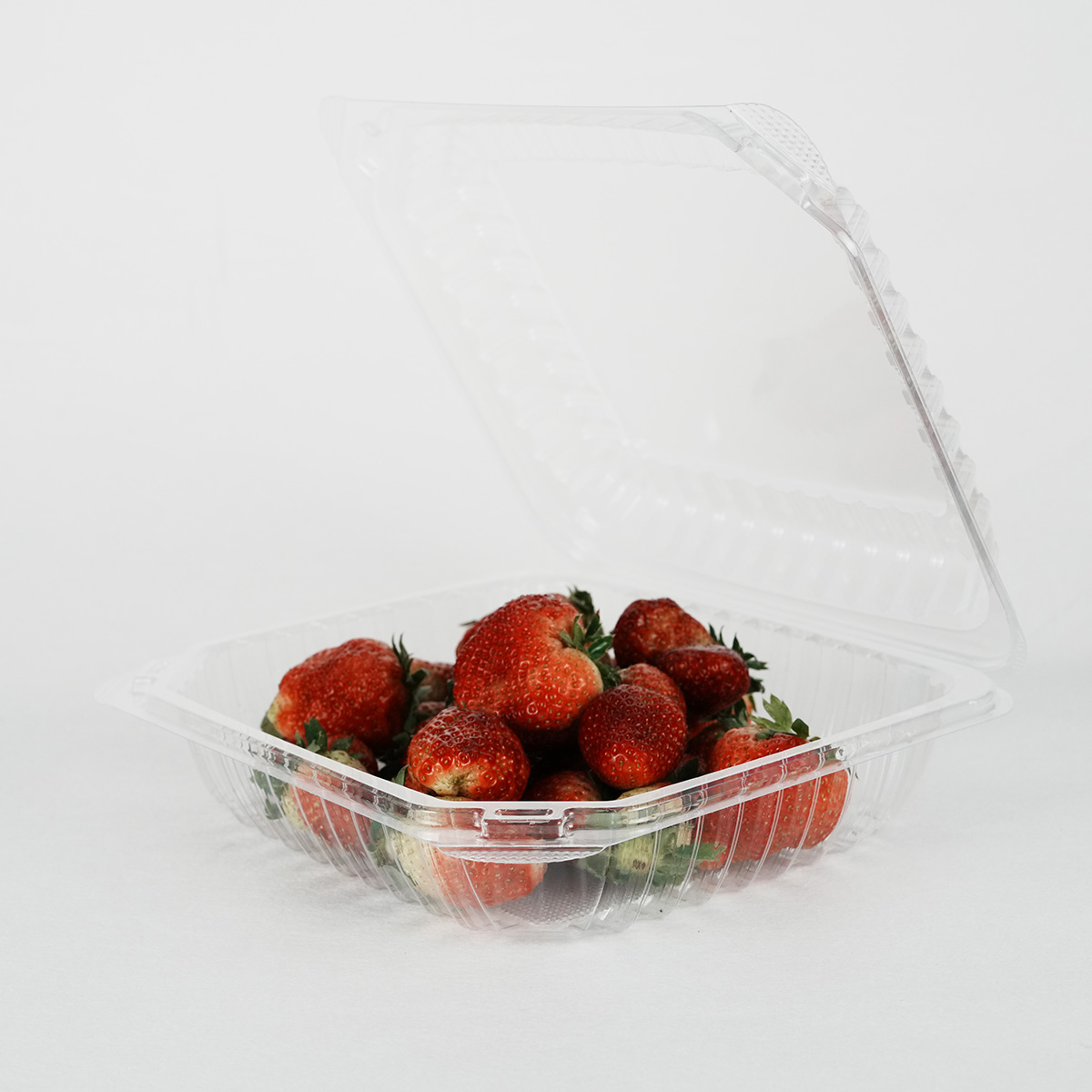 plastic container (1)