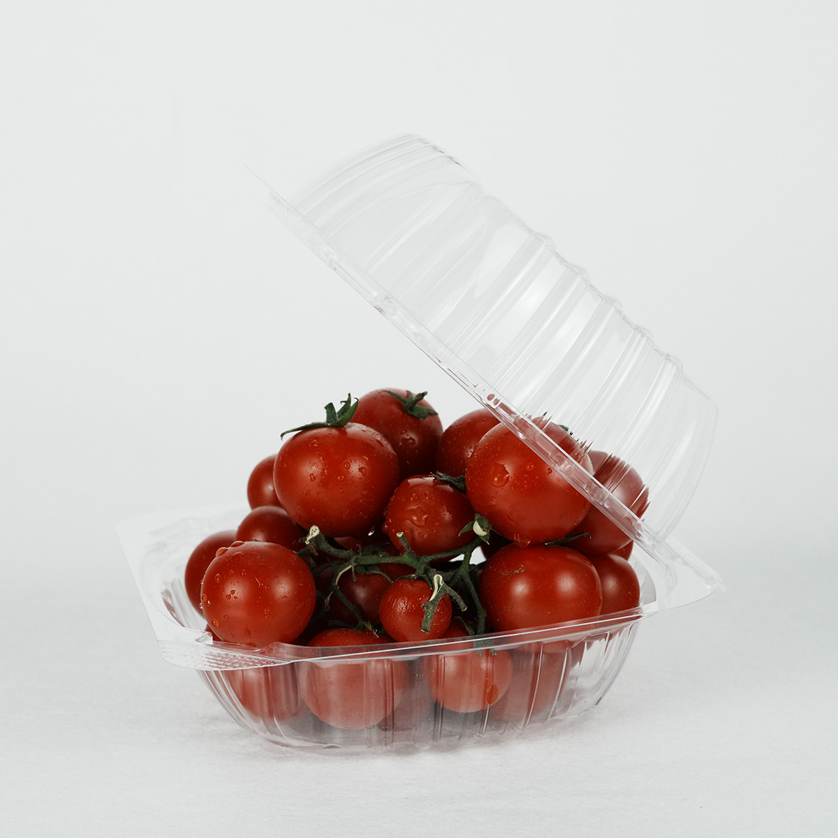 plastic container (2)