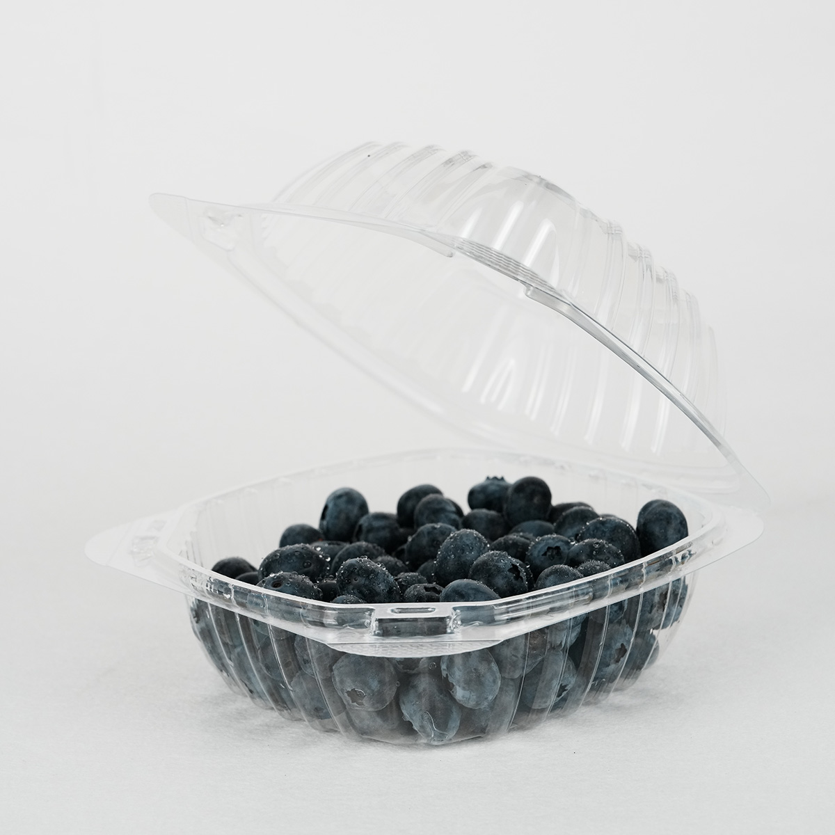 plastic container (3)