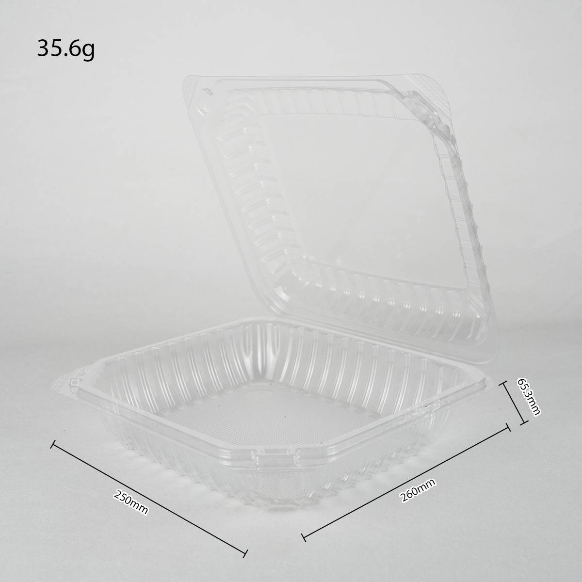 plastic container (4)